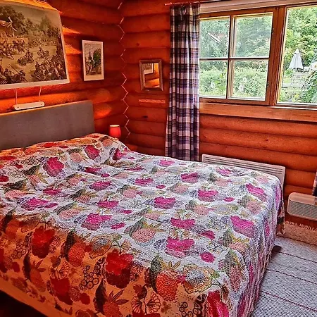 فيلة Cozy - Close To Center